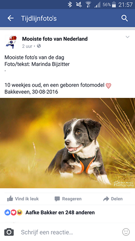 Afbeelding