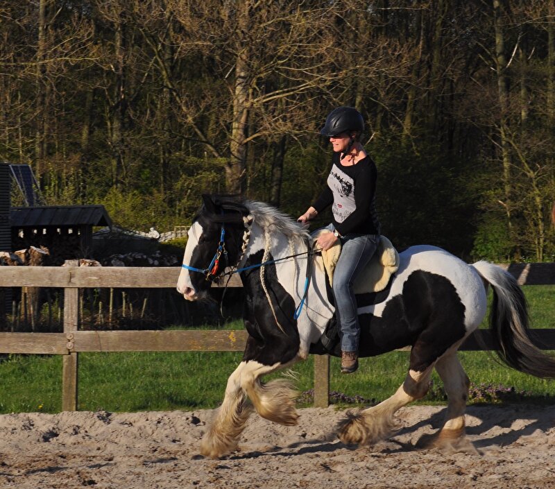 Afbeelding