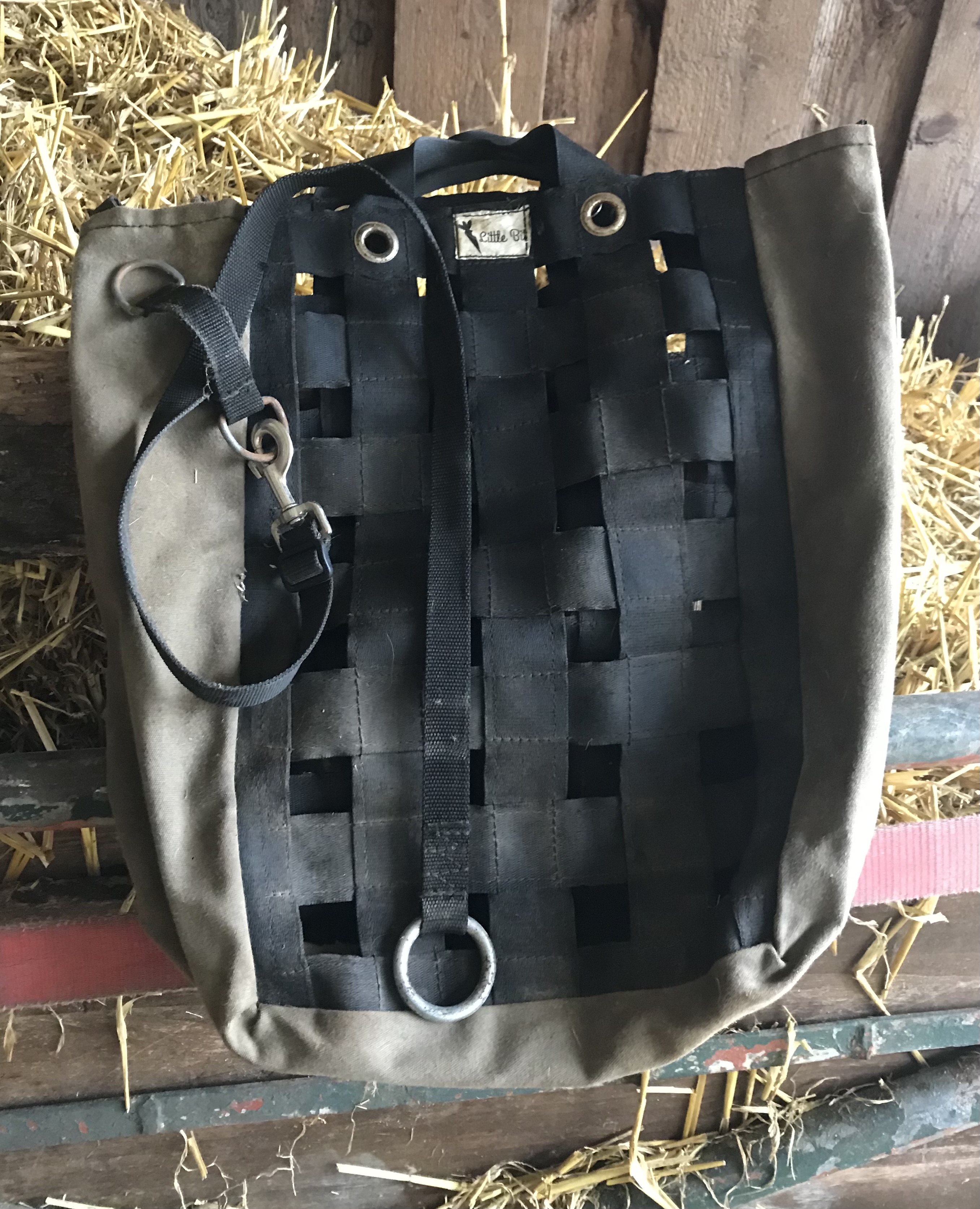 extra large dog door insert