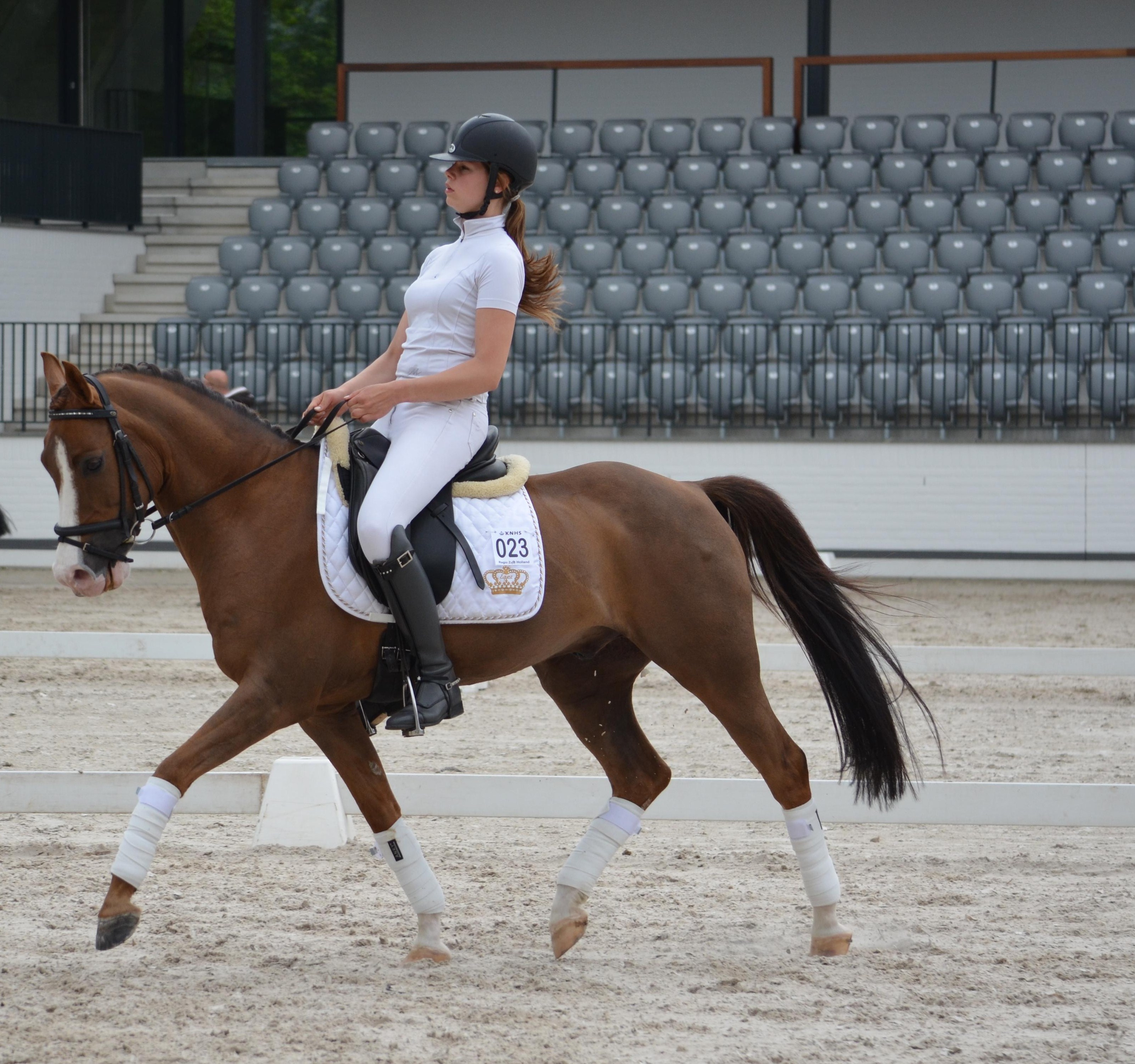 z dressuur pony te koop Bokt.nl