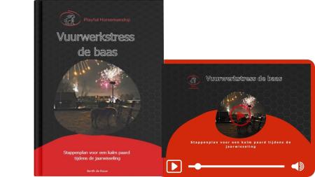 Online cursus Vuurwerkstress de baas! image 1