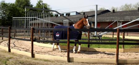 6 paards stapmolen