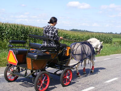 Rijden, Kar018.jpg
