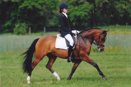 Afien en chavello, oranjewoud