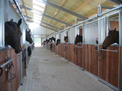 Stal de Elzen (Dordrecht) heeft per direct boxen vrij image 2