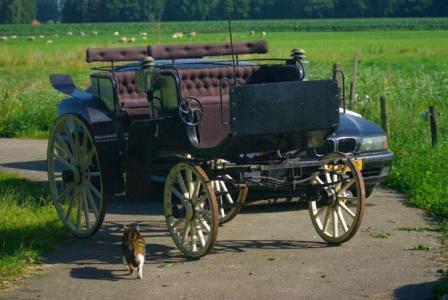 te koop en te ruil te koop te ruil rijtuig wagonette bokt nl te koop en te ruil te koop te ruil rijtuig wagonette bokt nl