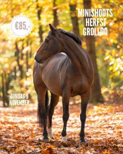 Minishoots Herfst - Grollo! image 1