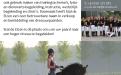 Open dag Stal de Elzen Dordrecht!!!!  image 2