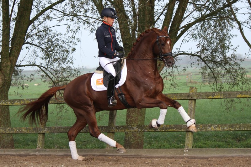 Afbeelding