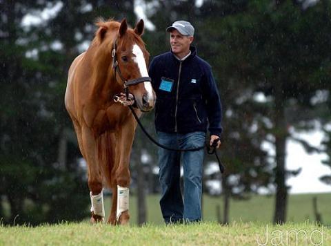 Horse_Riding_Club_Stable_Buzz