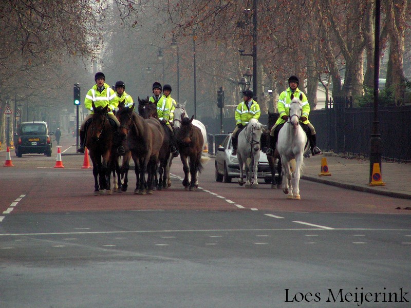 Bestand:Bereden politie Londen 1.jpg