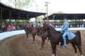 Een wedstrijd voor American Saddlebred's op de Boone Country Fair in Kentucky.