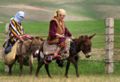 Ezels als rijdier in Tadzjikistan