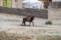 Kind rijdt te paard naar school. De Altai wordt veel ingezet als vervoersmiddel.