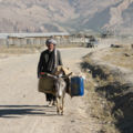 De ezel wordt tegenwoordig nog veel gebruikt als lastdier in Afghanistan