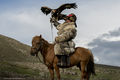 Een Kazachse nomadische 'Eagle Hunter' op een Altai met zijn Steenarend.