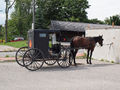 Een Hackney carriage met paard