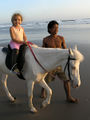 Een Bali pony onder het zadel op het strand.