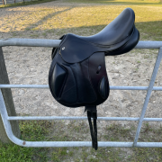 Zwarte Kentaur Eventer I