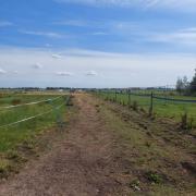 Plekje vrij voor merrie op klein paardenparadijsje