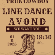 Clinic linedance