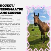 Project/ weidemaatje 