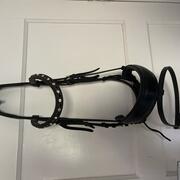 Bridle to fit full 