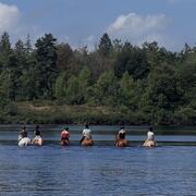 Ponykamp: bitloos, buitenritten, grondwerk en nog veel meer