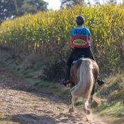 Oefen endurance Drenst landschap 10km/20 km - 3 nov 