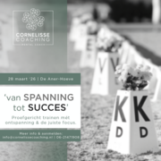 Proefgerichte training | 'van Spanning tot Succes'