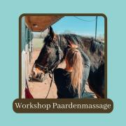 Workshop paarden massage