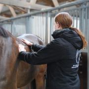 Kennismakingsactie Sportmassage