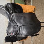 Albion SLK Europa 17,5 inch