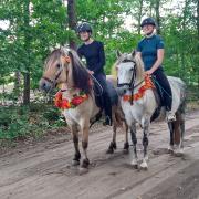 Zoek je nog een leuke en uitdagende stage plek?