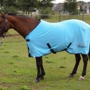 Bokt zweetdeken maat 175