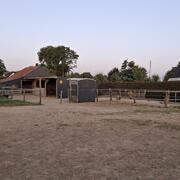 Stalling/ weidegang aangeboden