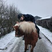 Aangeboden: bijrijder/leaser