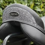 Gezocht Fryso dressuur fit 5/6