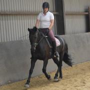 Lieve e-pony te koop