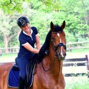 Paard aangeboden voor coaching/horsemanship