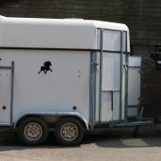 Weijer trailer te koop inclusief vooruitloop