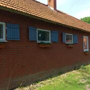 Paarden aan huis net over grens bij Zwartemeer