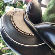 Anatomica Cygnus G3 dressuurzadel 17,5