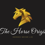 Voorkom ongemakken met de juiste basis - The Horse Origin
