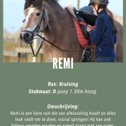 Remi zoekt een verzorger/bijrijder