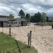 Plek in Velserbroek stalling met 24/7 buiten, schuilstal