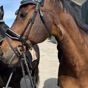 Lieve sociale ruin zz-licht