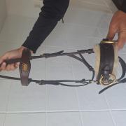 Bruin hackamore hoofdstel met bloemhackamore
