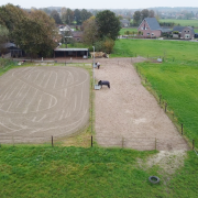 Gezocht: leenpony of leenpaard (Hattem)