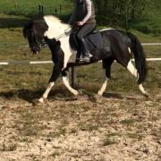 Brave 15jarige ruin